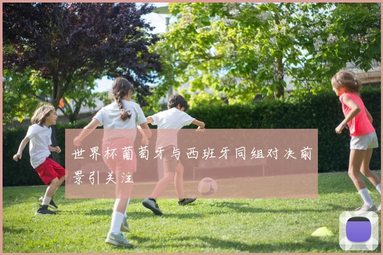 世界杯葡萄牙与西班牙同组对决前景引关注