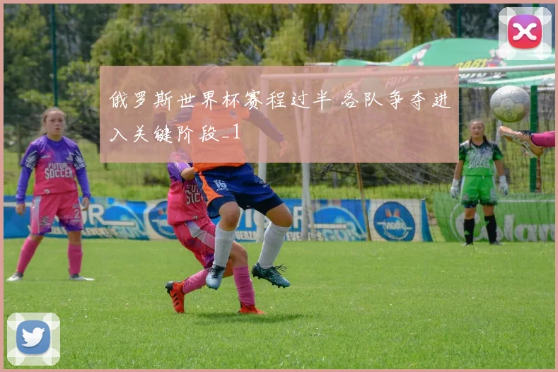 俄罗斯世界杯赛程过半 各队争夺进入关键阶段_1